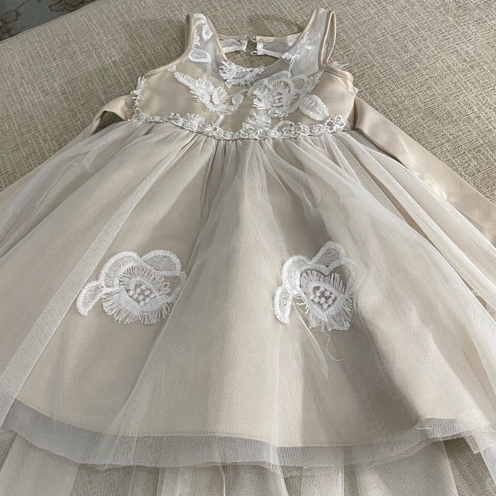 Rare Edition Dress